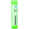 Belladonna gra.1 x 4 g 5CH
