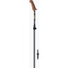 Palice na nordic walking Fizan Walx Pro 117-130 cm