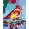Zuty – Maľovanie Podľa Čísel – Farebný Vtáčik Na Vetvičke, 40 × 50 cm, Plátno 8596530074120