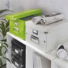 Leitz Střední univerzální krabice Click & Store, Zelená