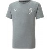Puma NJR Evostripe T-Shirt Grau F05