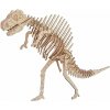 Woodcraft Drevené 3D puzzle Spinosaurus