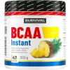 Survival BCAA Instant 300 g lesné ovocie