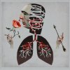 Hot Water Music - Vows [CD]