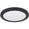 GLOBO 12379-24B LASSE stropné svietidlo 1xLED 24W 230V