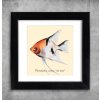 AQUARIUM ART obraz Pterophyllum scalare - red devil 22 x 22 cm (M-012)