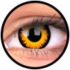Maxvue vision jednodňové nedioptrické CRAZY šošovky výhodné balenie 4x2 šošovky priemer - DIA: 14,0, zakrivenie - B.C.: 8,6, farebná varianta: Orange Werewolf