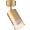 Zuma Line Ren stropné svietidlo 1x50 W zlatá OB-2211BD-1-GLD