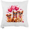 Dekoratívny vankúš Paws 40x40 cm EMI