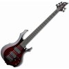 ESP LTD F-1005