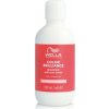 Wella Invigo Color Brilliance Color Protection Shampoo Normal 100 ml