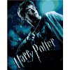 Plagát Harry Potter a princ dvojakej krvi, 40×50 cm, bez rámu a bez vypnutia plátna 6066790