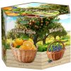 LIRAN Orchard hexagon 8 x 6 x 1,5g (NA021)
