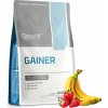 Ostrovit Gainer 1000 g