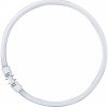 Osram Lineárna žiarivka kruhová, 2GX13, 22 W, Lumilux, teplá biela, 231 x 27 mm