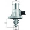 Termostat chladenia MAHLE TM 41 105