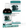 Umijo Immun Dog 50 ml