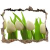 Samolepící nálepka na zeď Biele tulipány 95x64 cm