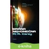 E-kniha Brána nekonečna - R. M. Carey