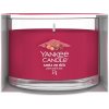 Yankee Candle Santa On Skis 37 g