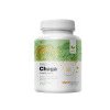 MycoMedica Chaga PRO 90 kapsúl