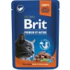 Brit Premium Cat Sterilised Salmon 100 g
