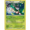 Gogoat - XY16 Promo (Holo)