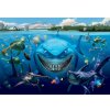 Preinterier FT2103 Fototapeta na stenu Hľadá sa Nemo vlies 208cm x 146cm
