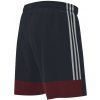 Pánske šortky Tastigo 19 M FI6355 - Adidas S