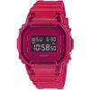 Hodinky CASIO G-SHOCK DW-5600SB-4ER