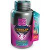 CARTILAN MSM + KURKUMÍN 100tbl Altervet