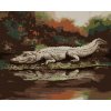 ZUTY Maľovanie podľa čísel - ALIGÁTOR LEŽIACI PRI VODE VII (D. RUSTY RUST) Rámovanie: vypnuté plátno na rám, Rozmer: 80x100 cm