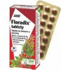 Salus Floradix 84 tabliet
