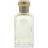 Versace Dreamer toaletná voda pre mužov 100 ml