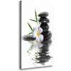 Vertikálny foto obraz na plátne Orchidea a kamene 50x100 cm