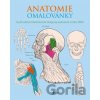Anatomie omalovánky - Henry Carter, Henry Gray