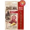 Shelma Sticks s hovädziem a zázvorem GF 15 g