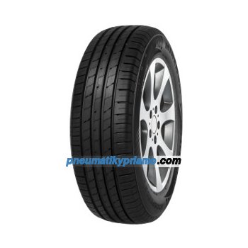 Minerva Ecospeed 2 225/55 R19 99V