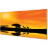 Nástenný panel Žirafy tree west lake 100x50 cm