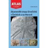 Zkamenělé stopy živočichů v Čechách a na Moravě - Radek Mikuláš