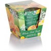Tradičná parafínová sviečka Green & Yellow Fruits Bartek Candles 1 ks