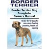 Border Terrier. Border Terrier Dog Complete Owners Manual. Border Terrier book for care, costs, feeding, grooming, health and training.