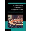 The UN Security Council and International Law