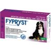 Ihneď k odberu - Fypryst spot-on Dog XL nad 40 kg 1 x 4,02 ml