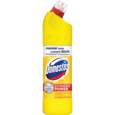 DOMESTOS 24H - PINE FRESH ČISTIACI A DEZINF. PROSTRIEDOK 750 ml