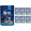 Brit Premium Cat Kitten Chicken Chunks 12 x 100 g