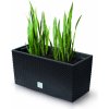 Nohel garden Truhlík RATO CASE 2v1 samozavlažovací plastový 40x19x20cm