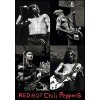 Plagát, Obraz - Red hot chili peppers Live, (61 x 91.5 cm)