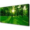 Obraz na plátne Les príroda 100x50 cm