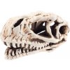 AQUA NOVA Keramická dinosauria lebka 14cm